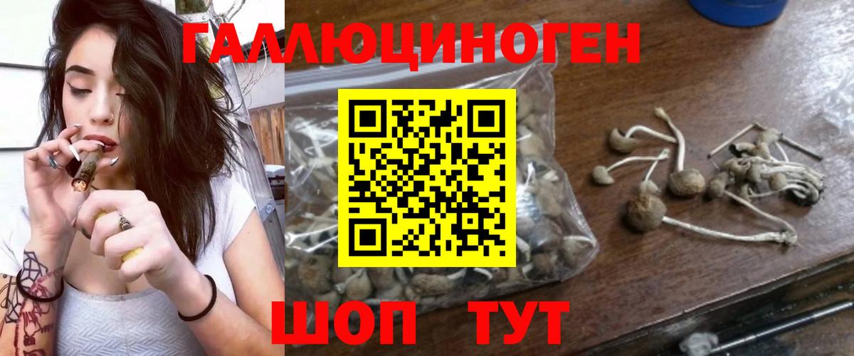 Раменское  Галлюциногенные грибы мухоморы  Вход с VPN 
